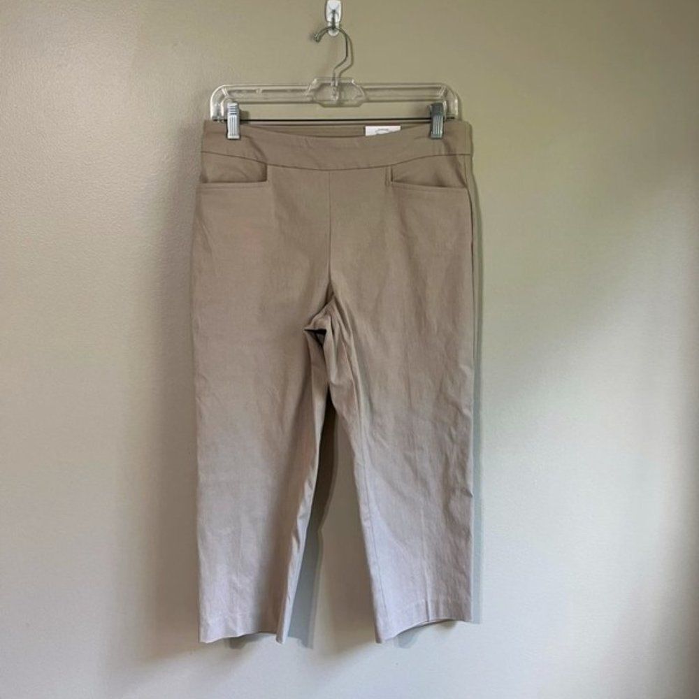 NWT Time and Tru small mid rise pants